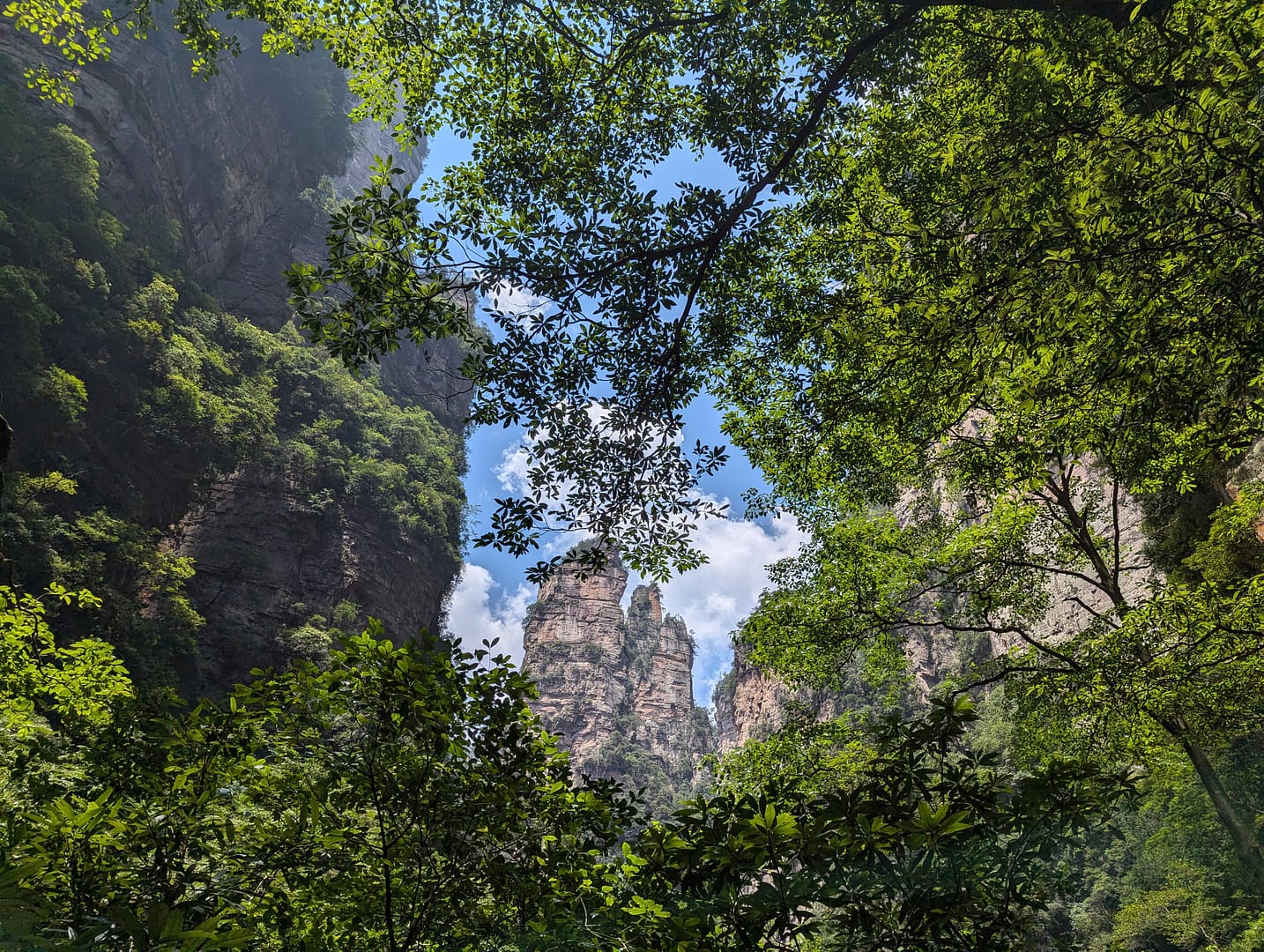 Looking upwards at the Avatar Floating Mountains