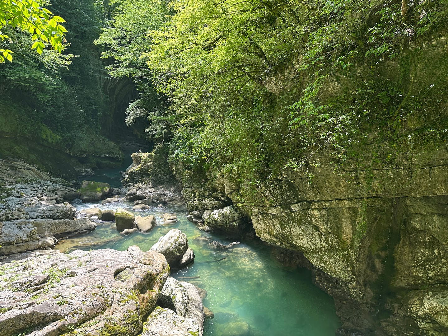 Martvili Canyon view - one of the best places to visit from Kutaisi