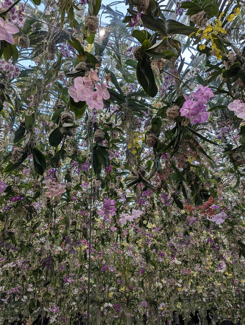 Thousands of colorful flowers hanging from the ceiling in the floating flower garden at teamLab Planets Tokyo.