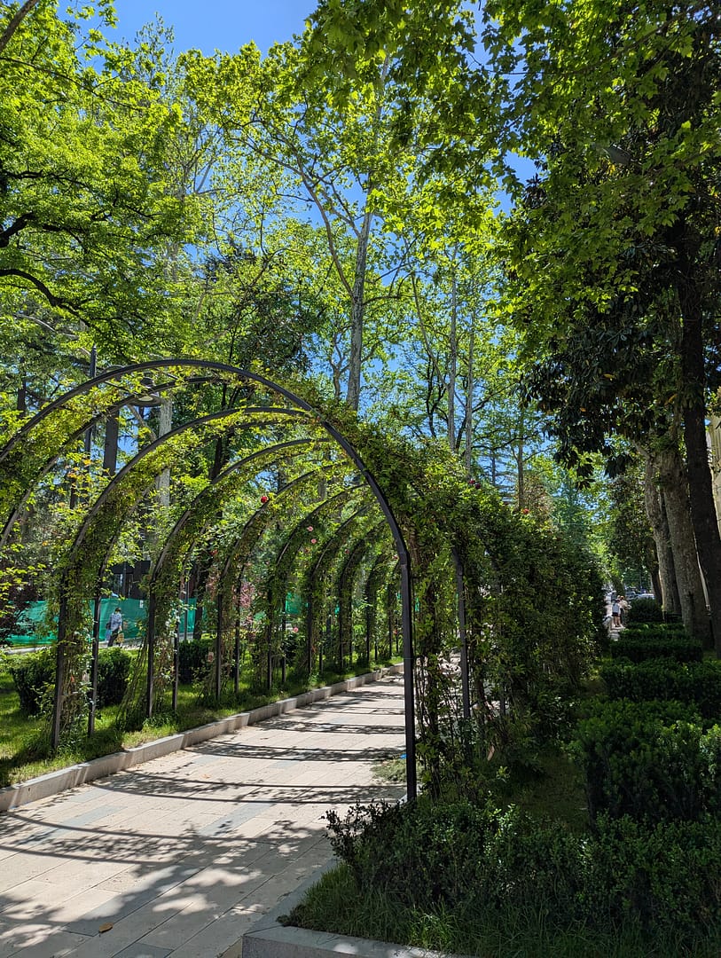 Leafy gardens in Kutaisi