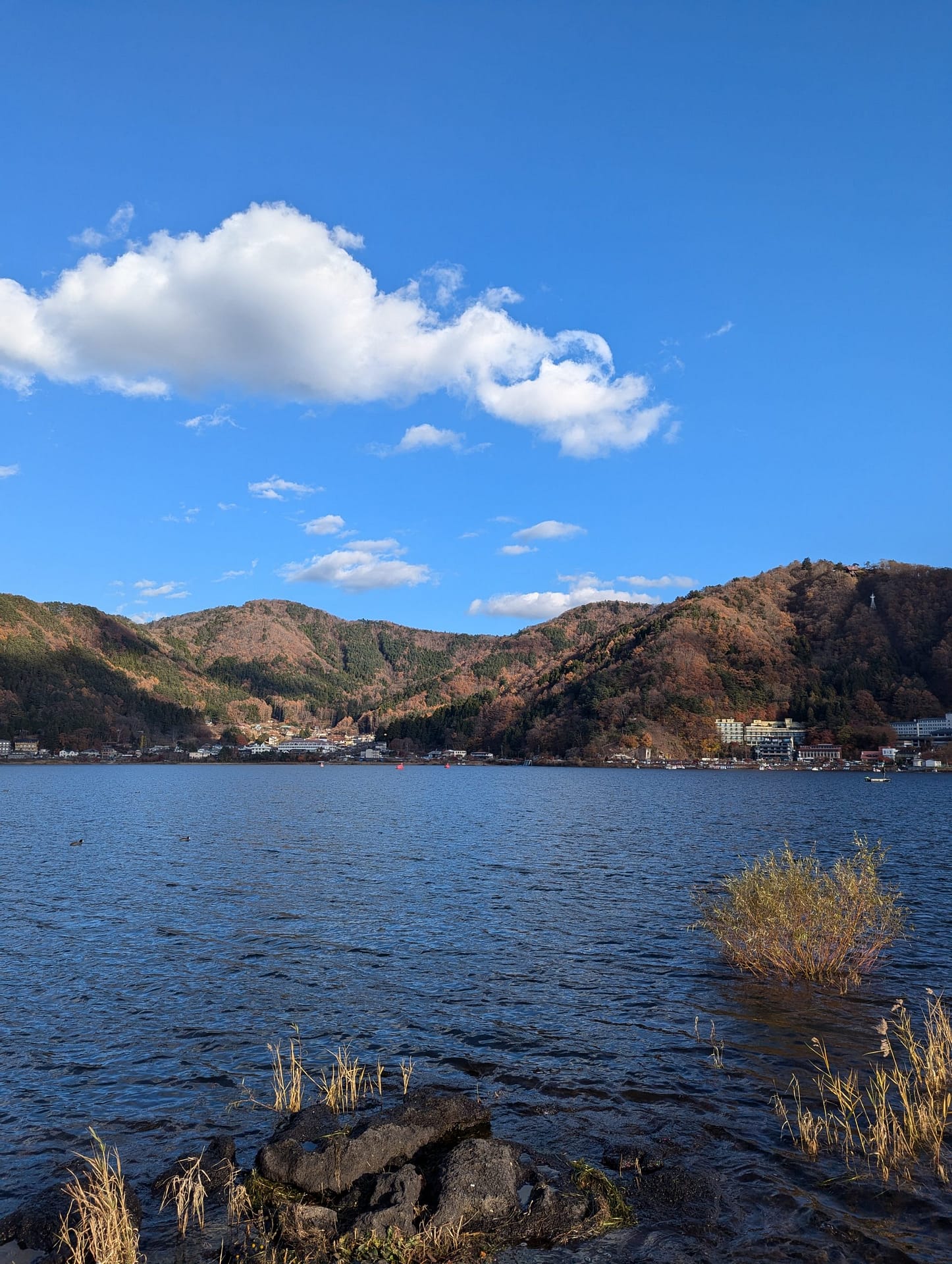 Lake Kawaguchiko 